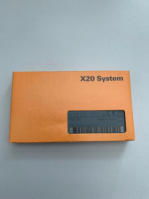 X20DS1319 B&amp;R X20 PLC সিস্টেম 4 ডিজিটাল ইনপুট চ্যানেল ইনপুট বা আউটপুট হিসাবে কনফিগারযোগ্য