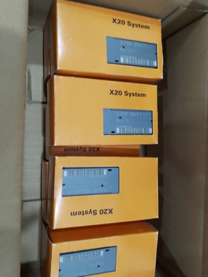 একটি ক্যানোপেন ইন্টারফেস সহ X20IF1041-1 B&amp;R X20 PLC কমিউনিকেশন মডিউল