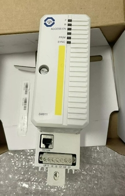ABB SM811K01 3BSE018173R1 সেফটি সেন্ট্রাল প্রসেসিং ইউনিট মডিউল উচ্চ সততা
