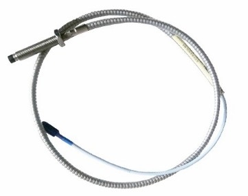 330104-10-13-05-02-05 বেন্টলি নেভাদা 3300/XL 8MM মনিটরিং সিস্টেম