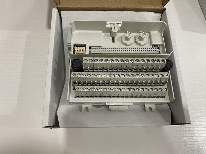 TU831V1 ABB PLC 8 I/O চ্যানেল বর্ধিত টার্মিনাল ব্লক S800 I/O DCS 3BSE013235R1